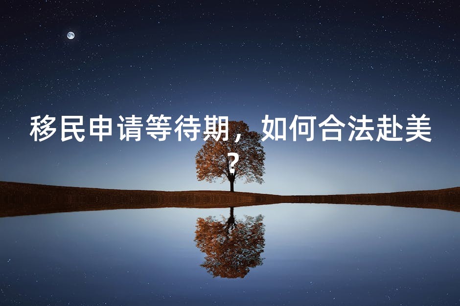 移民申请等待期，如何合法赴美？