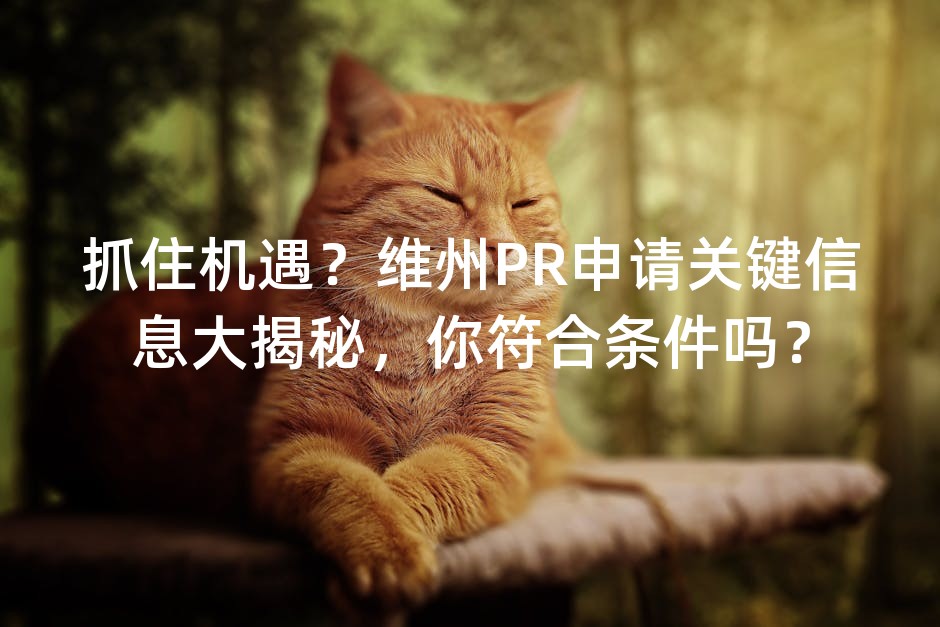 抓住机遇？维州PR申请关键信息大揭秘，你符合条