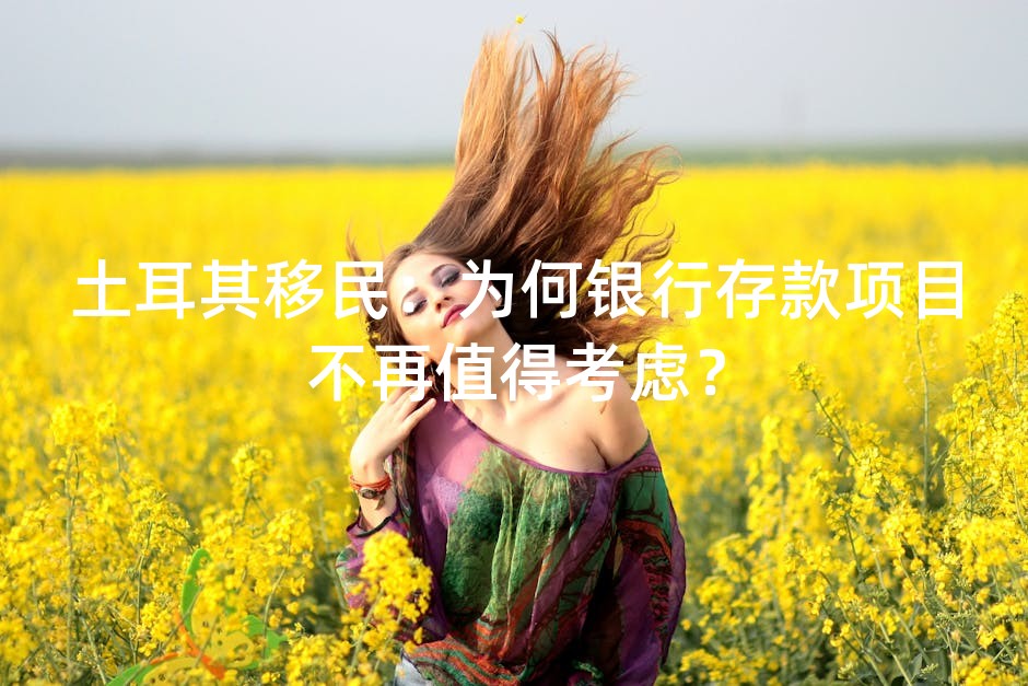 土耳其移民：为何银行存款项目不再值得考虑？