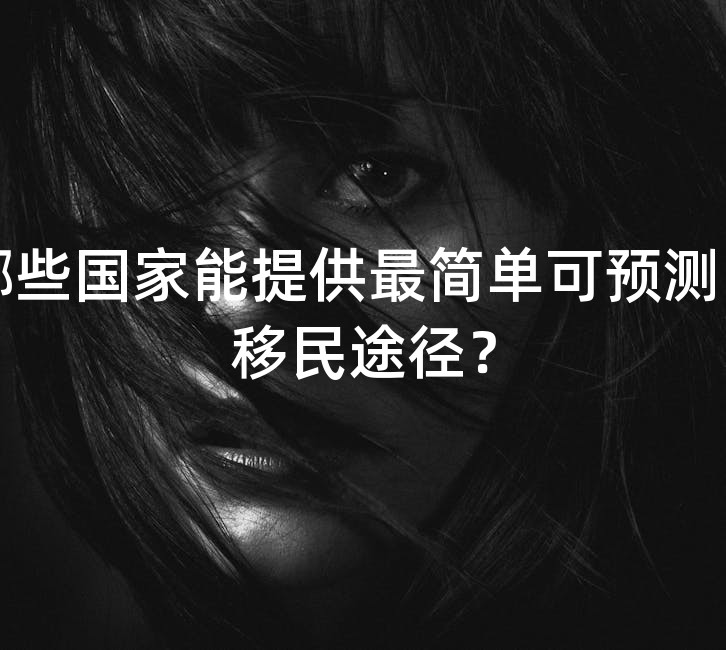哪些国家能提供最简单可预测的移民途径？