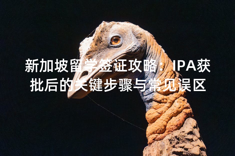 新加坡留学签证攻略：IPA获批后的关键步骤与常见误区