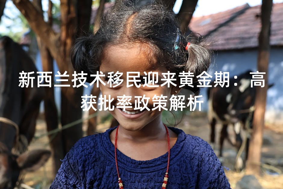新西兰技术移民迎来黄金期：高获批率政策解析