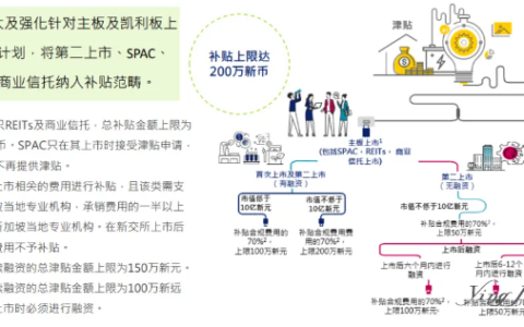 新交所上市指南