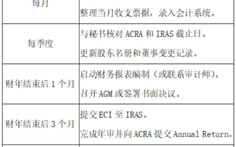 新加坡公司注册后年度维护全攻略