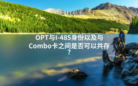 OPT与I-485身份以及与Combo卡之间是否可以共存？