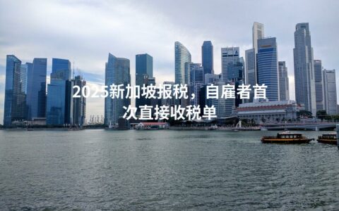 2025新加坡报税，自雇者首次直接收税单